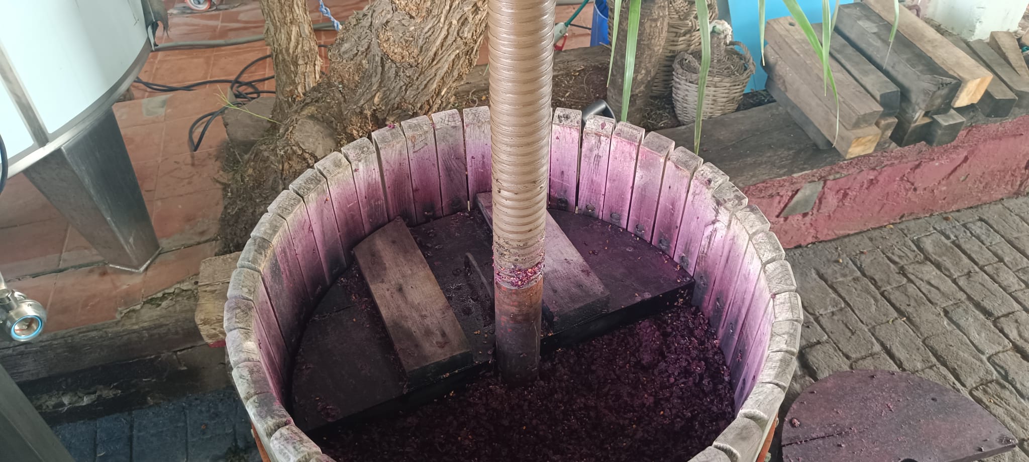 VIP Wine